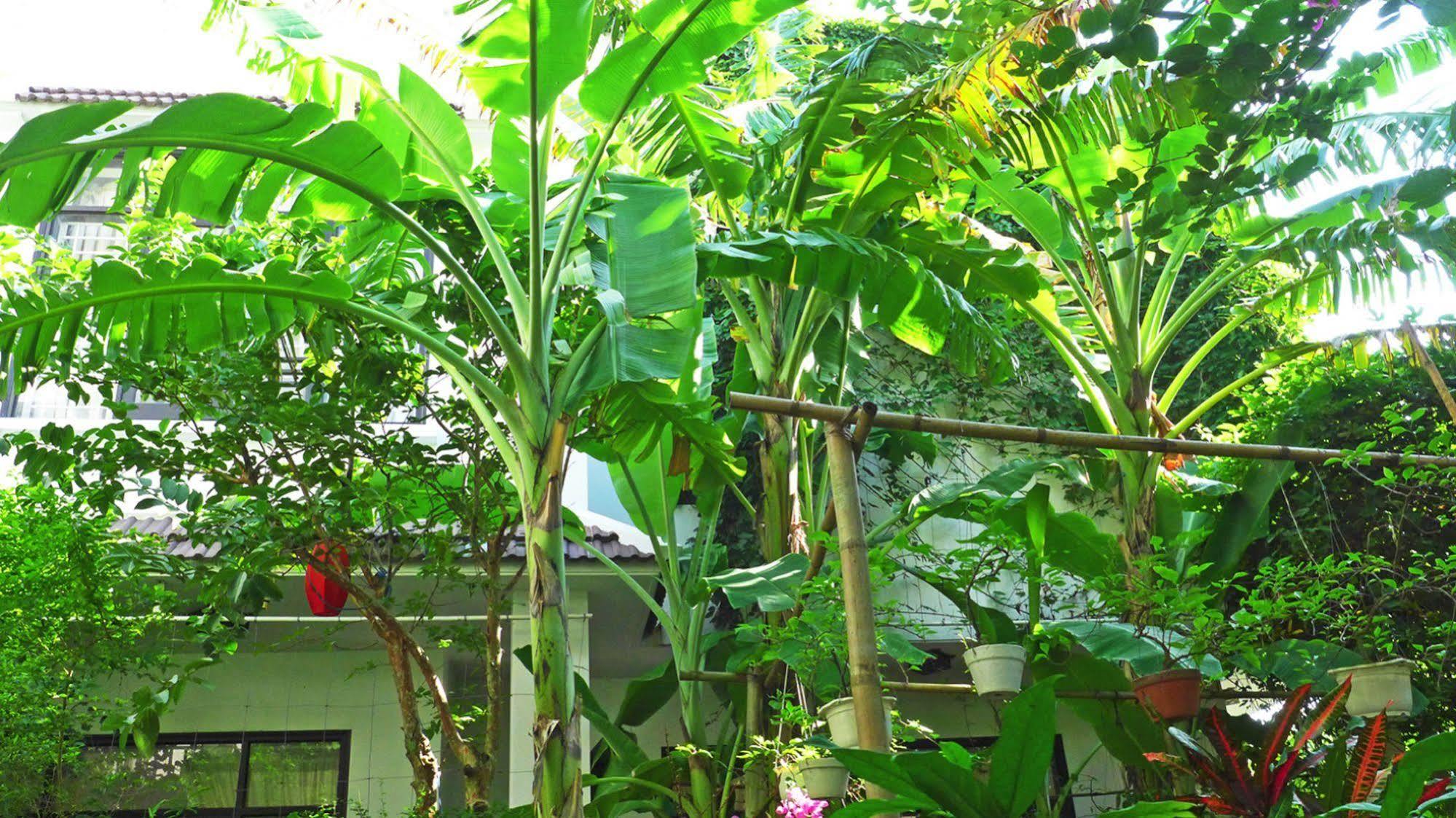 East West Villa Hoi An Luaran gambar